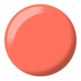 Orange Smoothie #503