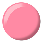 Shy Blush #646