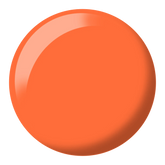 Orange Sherbet #713