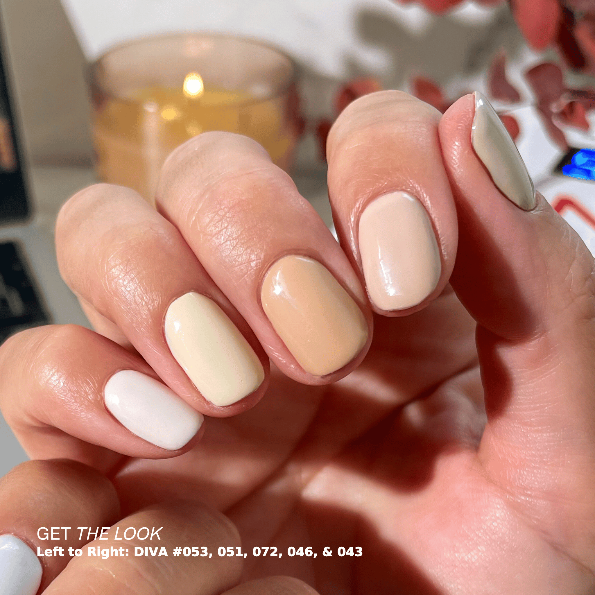 DND Biscuits N' Honey Diva #052