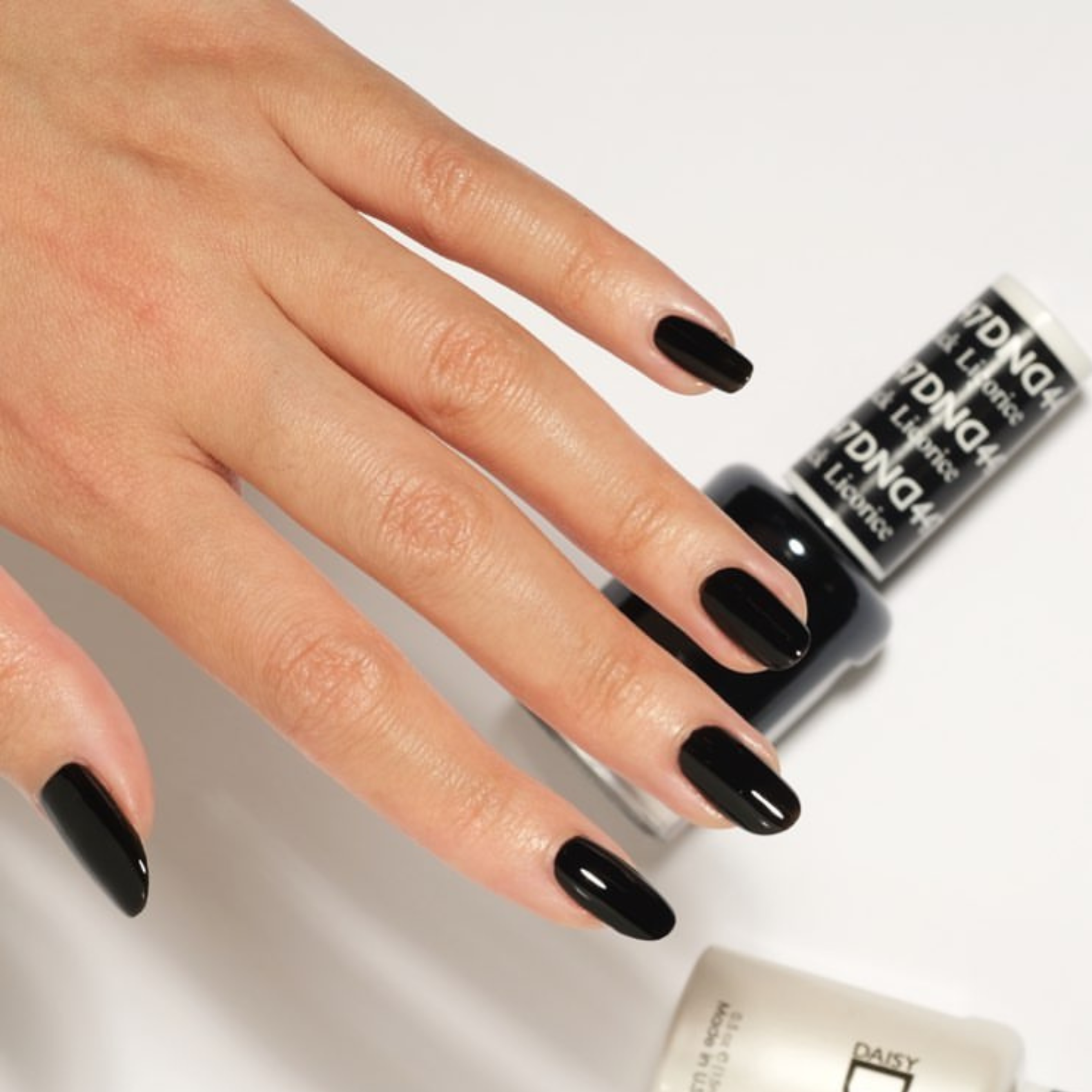Black Licorice #447