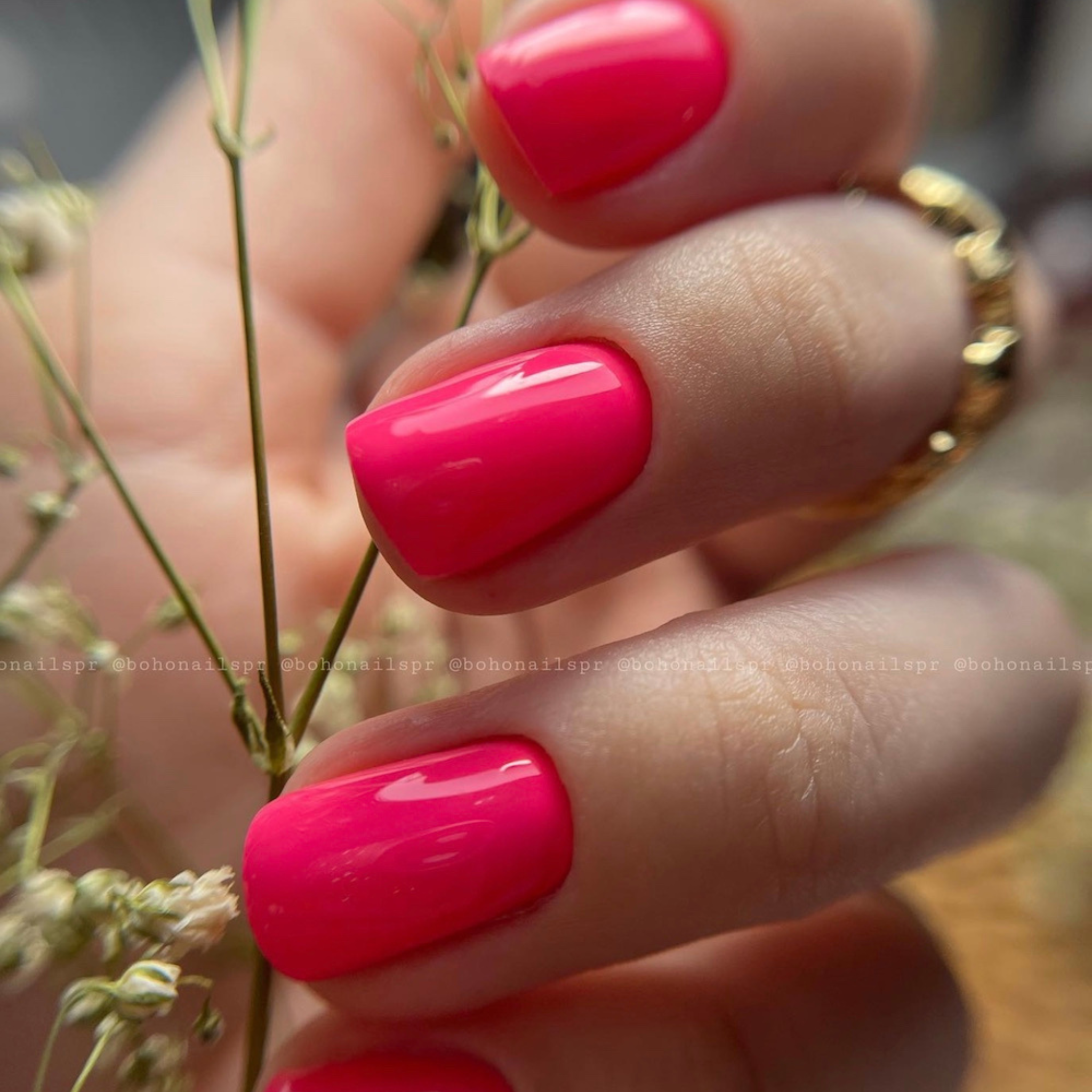 Fuchsia Touch #643