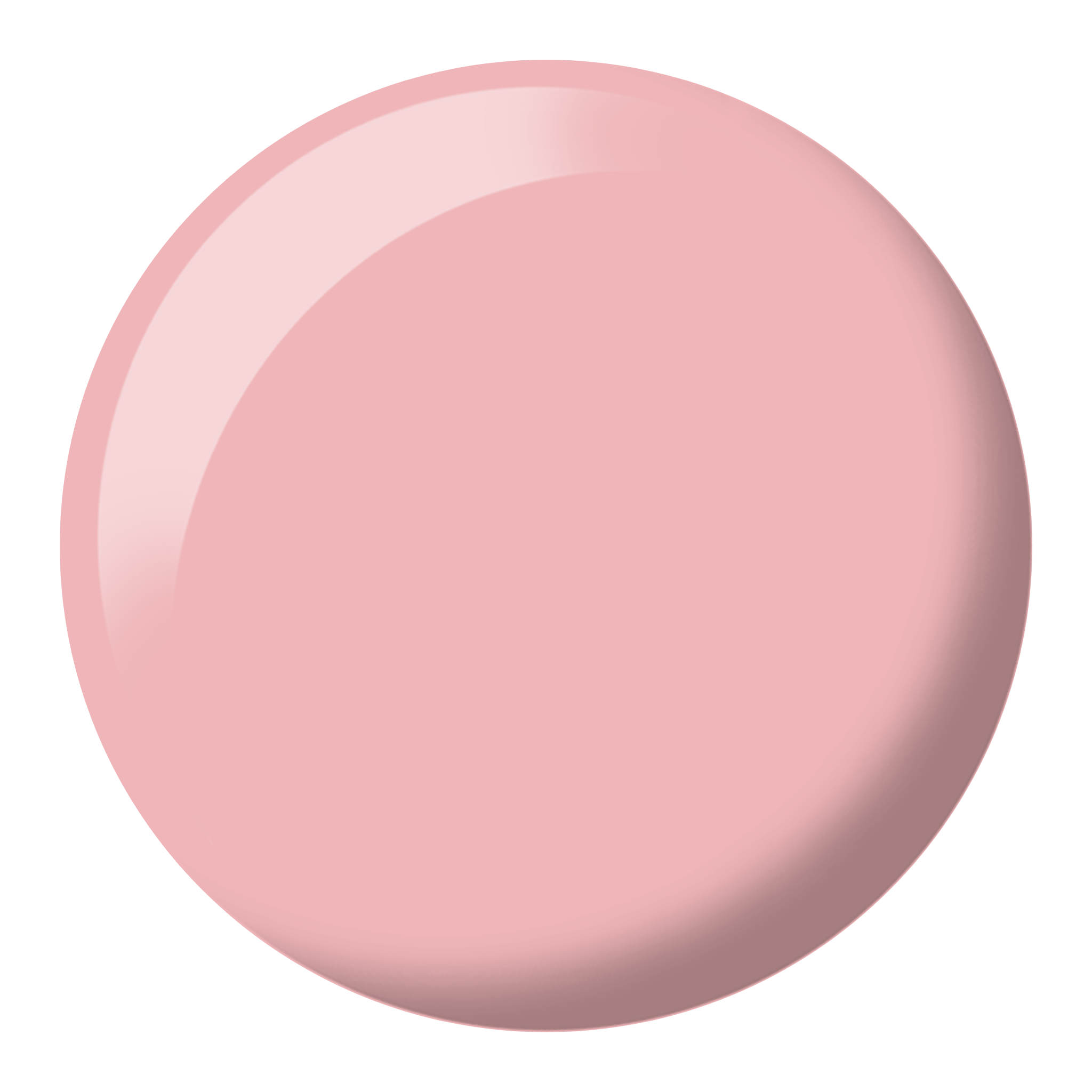 DND Texas Rose Diva #066