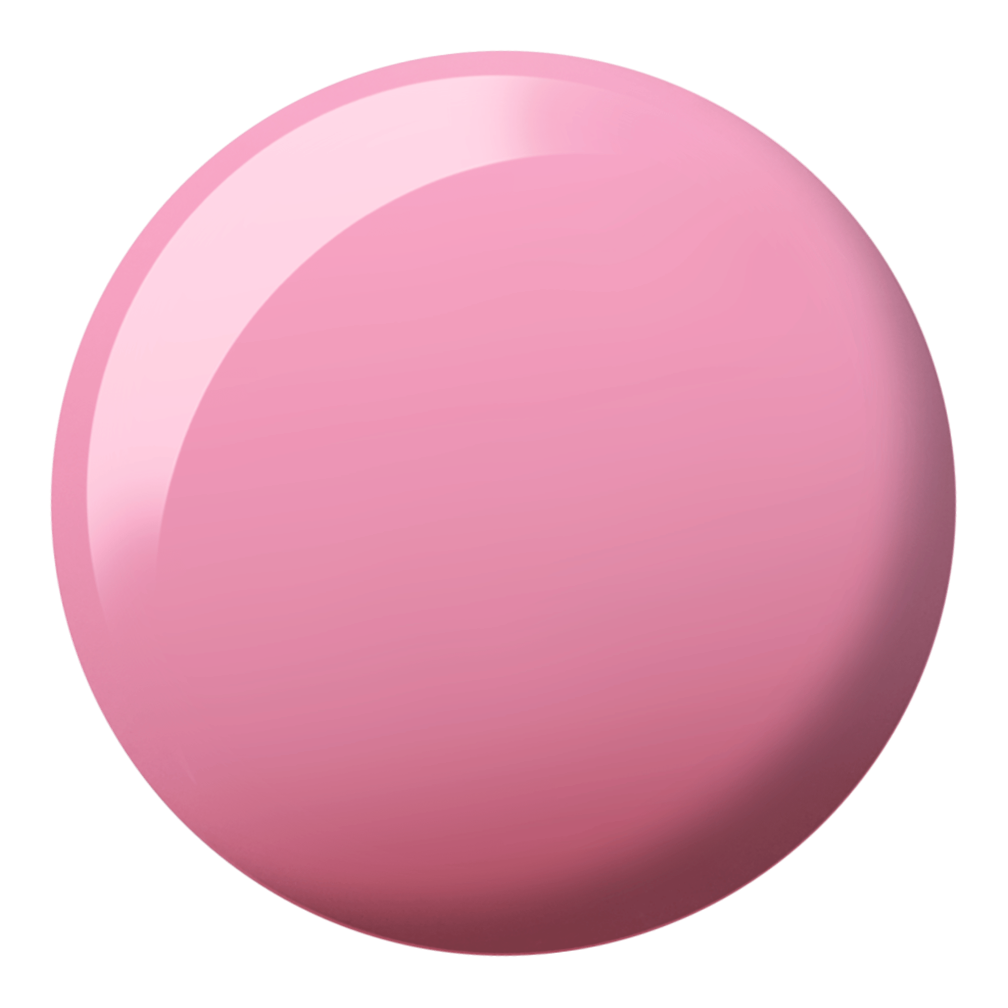 DND Where's My Beret? Diva #172