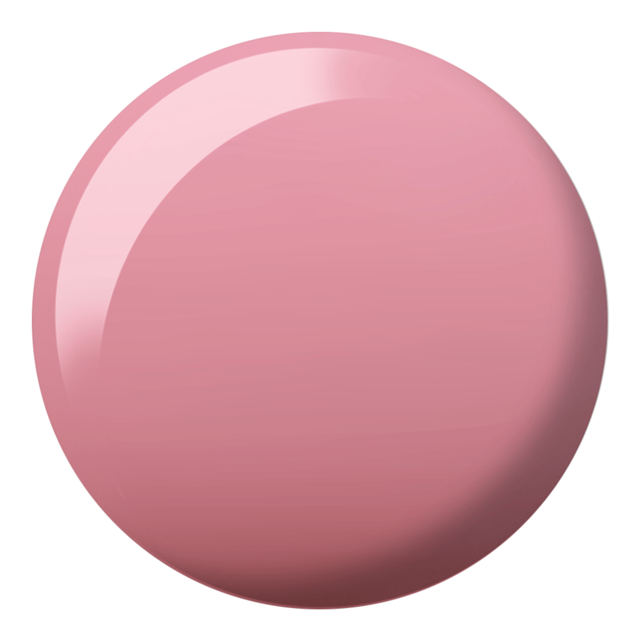 DND Sippin' Rose Tea Diva #173