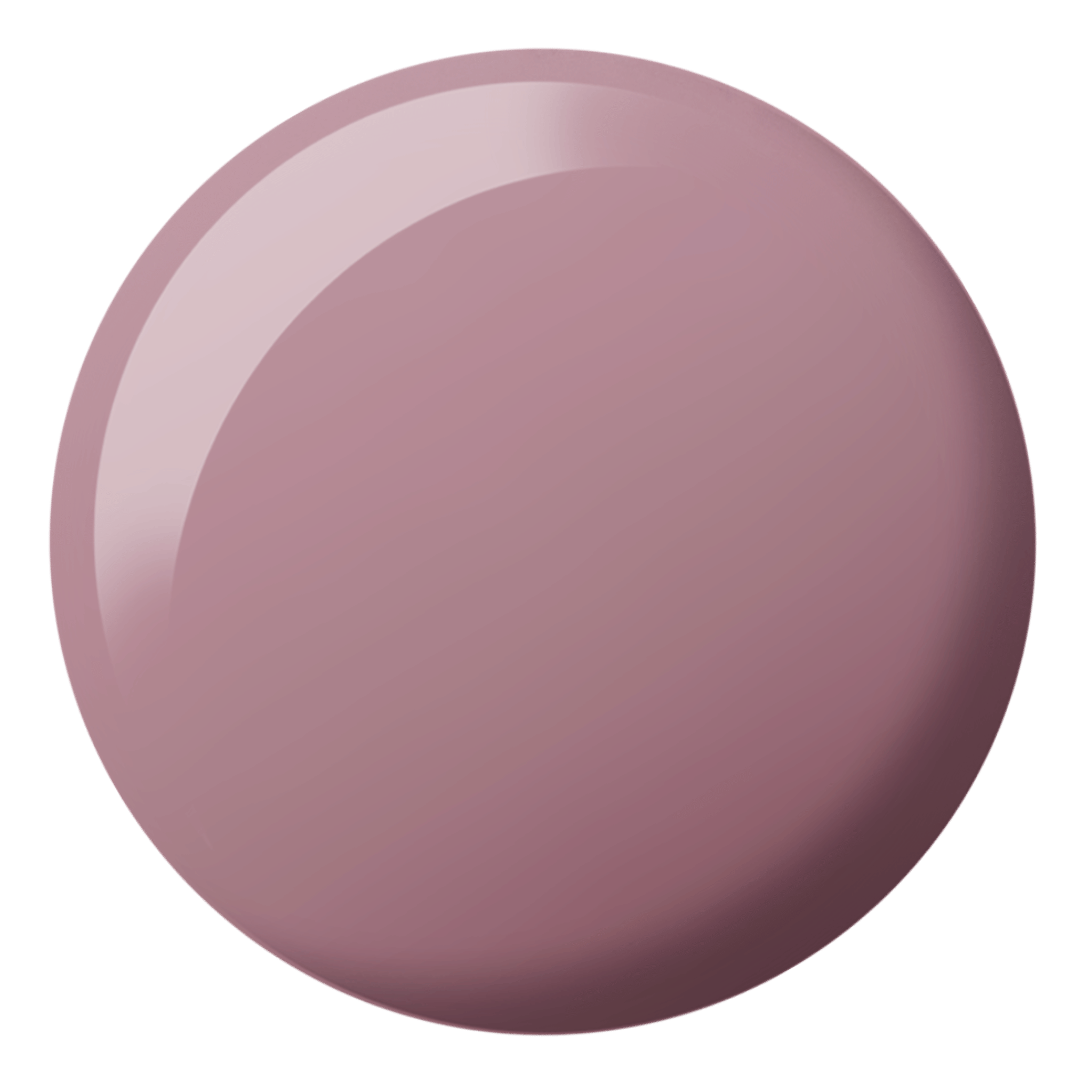 DND Toasted Melody Diva #181
