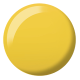 DND Mimosa Diva #203