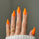 DND Perfect Orange Diva #208