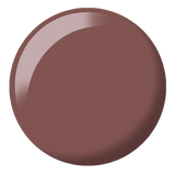DND Chestnut Wonders Diva #239